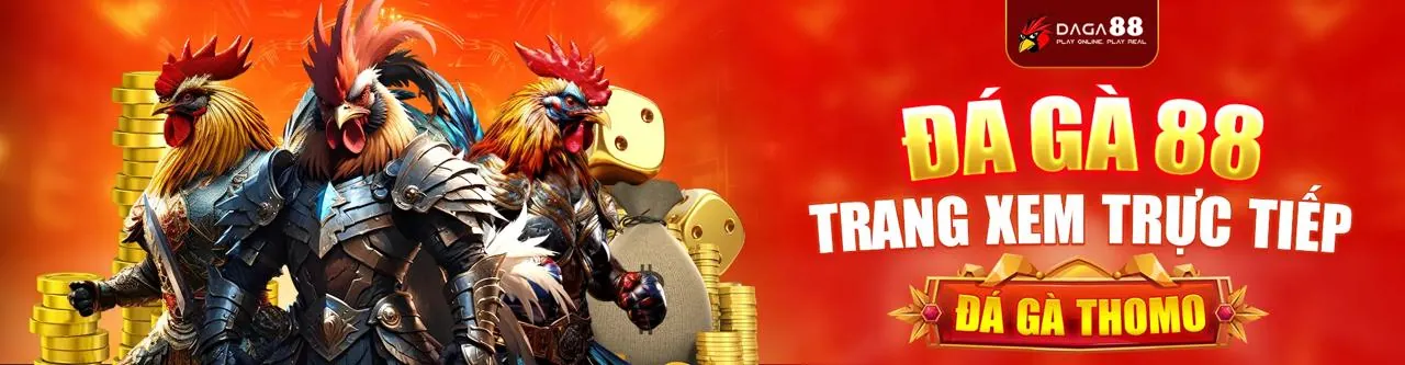 Đội ngũ hỗ trợ 24/7 của Mbet Link Mới sẵn sàng phục vụ