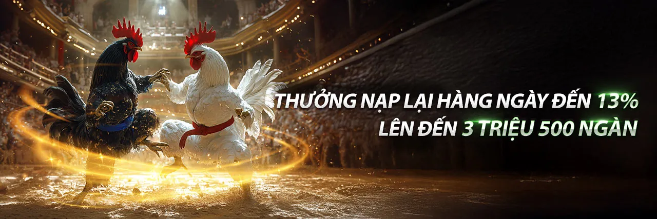 Đá gà trực tuyến sôi động tại mbet link mới 2026