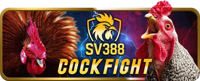 Ưu đãi hấp dẫn